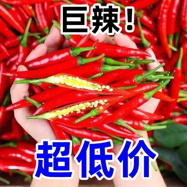 正宗小米椒特辣小米辣鲜椒朝天椒红辣椒指天椒泡椒产地直发包邮