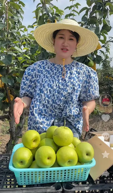 安徽新鲜青皮皇冠梨脆甜多汁酥脆薄皮当季水果
