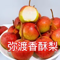 云南纯甜多汁果肉细嫩化渣小香酥梨小香梨