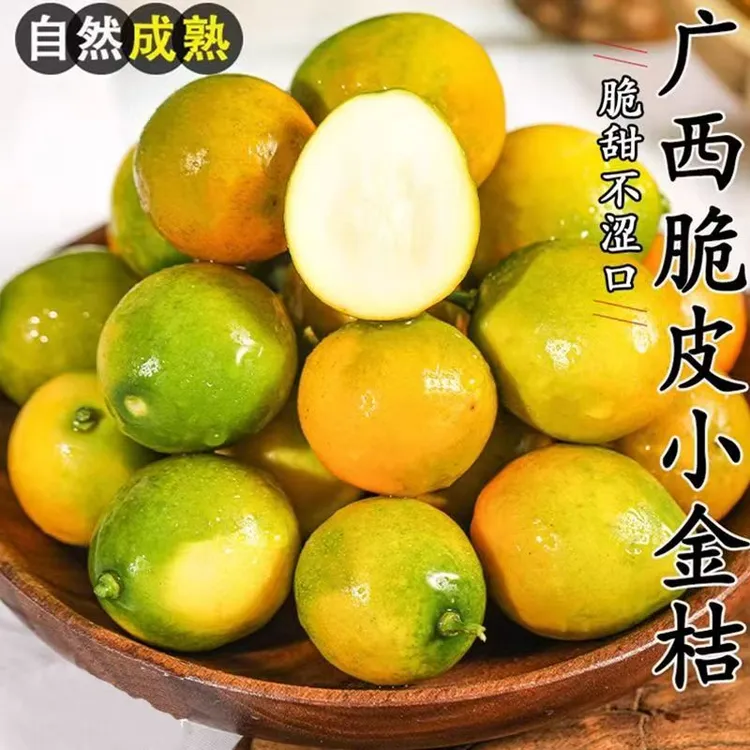 广西融安脆皮金桔新鲜水果纯甜无酸当季上市阳朔滑皮小金桔