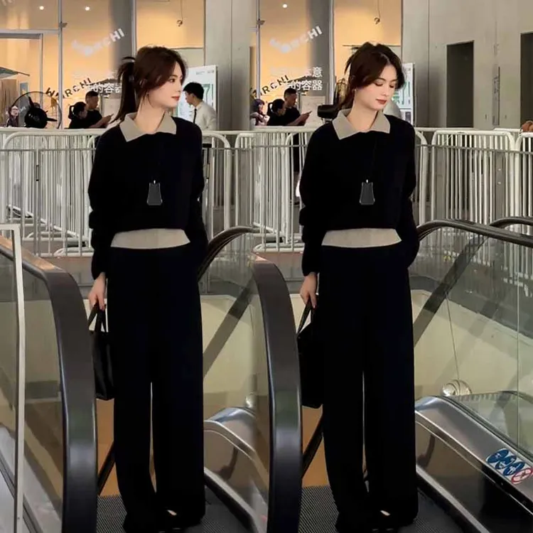 2025秋季新款设计感慵懒风百搭长袖上衣女搭配休闲阔腿裤两件套装