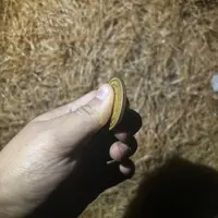 精选手工一个  现代仿古复古工艺摆件 8