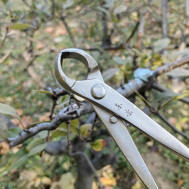 盆景球钳斜口圆头钳叉枝叶芽剪刀不锈钢材质中号盆景修剪工具