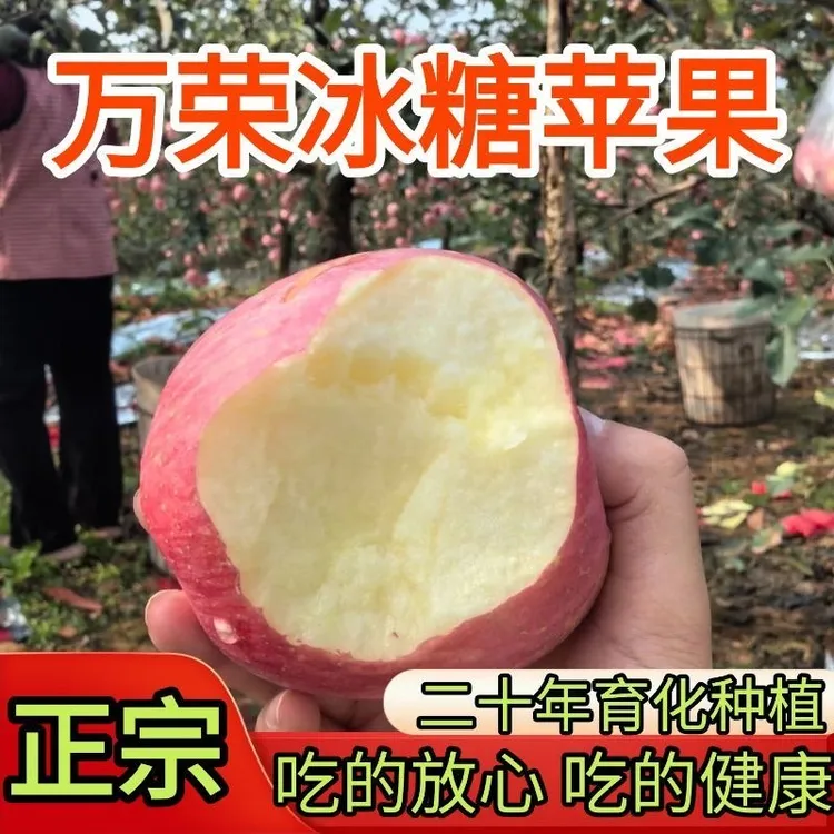 正宗红富士苹果新鲜当季水果脆甜多汁冰糖心