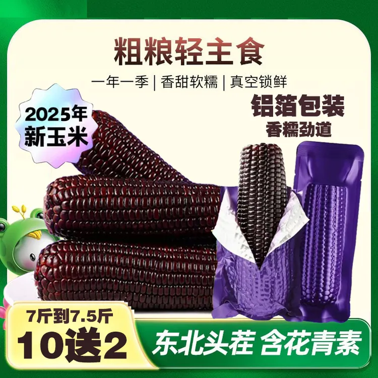 （试吃两根）东北鲜采铝箔黑糯玉米12支 单只280-350g（整箱7-7.5斤）