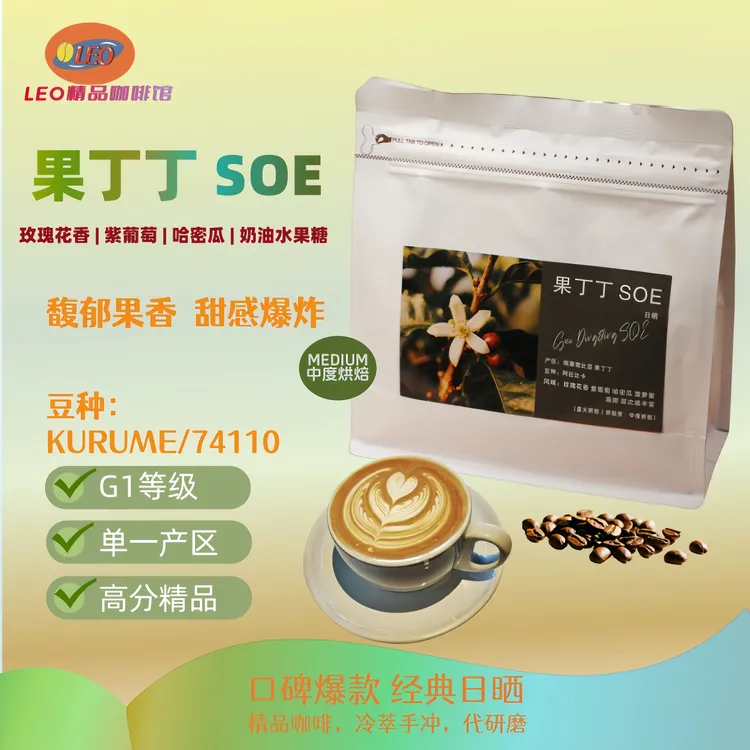 埃塞 果丁丁SOE 精品咖啡豆推荐优质冷萃 美式黑咖啡高甜果汁感