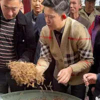 【冬虫夏草】精品礼盒大 草 现场现卖 自然晒干 品质滋补实拍图