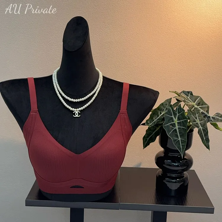 舒适内衣秋冬款暖肌提拉软支撑美背舒适高级文胸