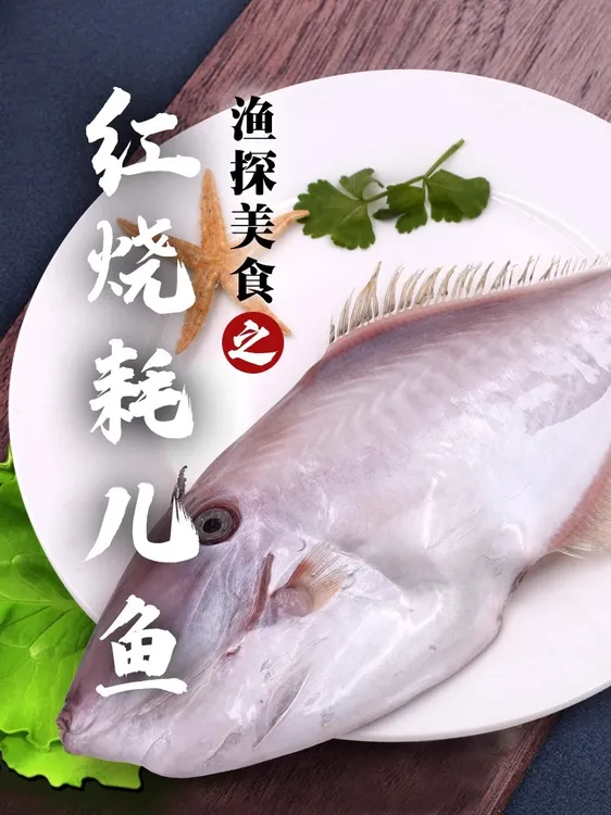 扒皮鱼马面魨鱼耗儿鱼老鼠鱼橡皮鱼绿鳍海鲜水产商用火锅新鲜冷冻
