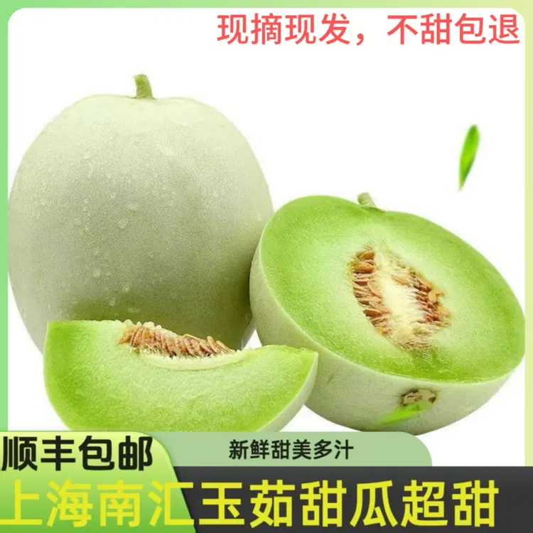 顺丰包邮南汇玉菇甜瓜现摘现发冰淇淋香甜软糯当季新鲜水果