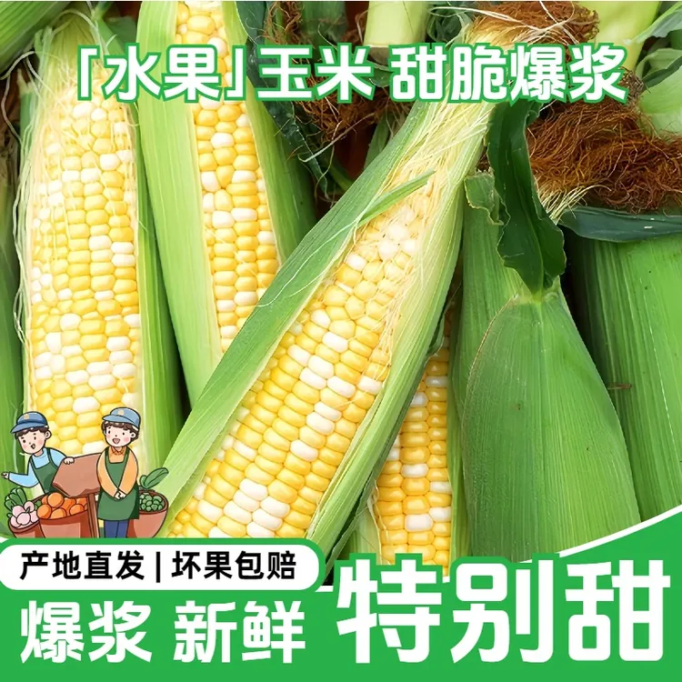 【懒鲜生水果玉米】云南现摘金银水果甜玉米水果玉米甜脆可生吃榴莲