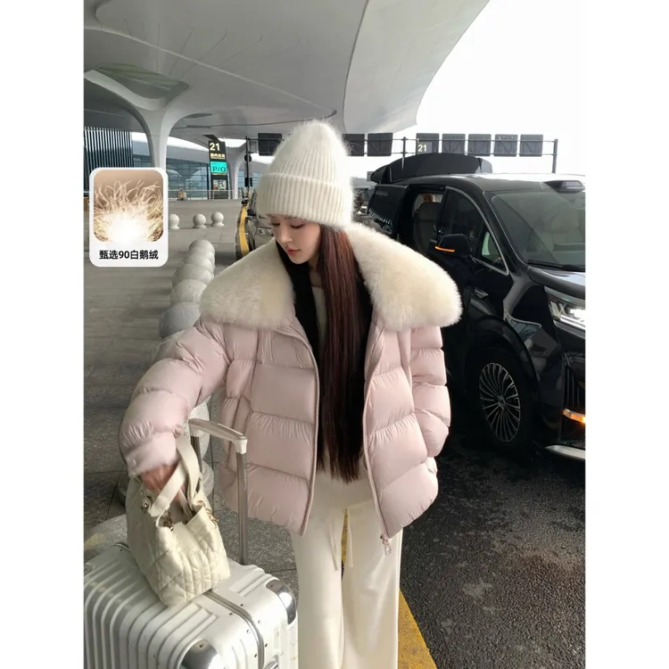 冯薪颖 【伯尔尼暖冬】新国标90白鹅绒 初剪羊毛领羽绒服 Q259133