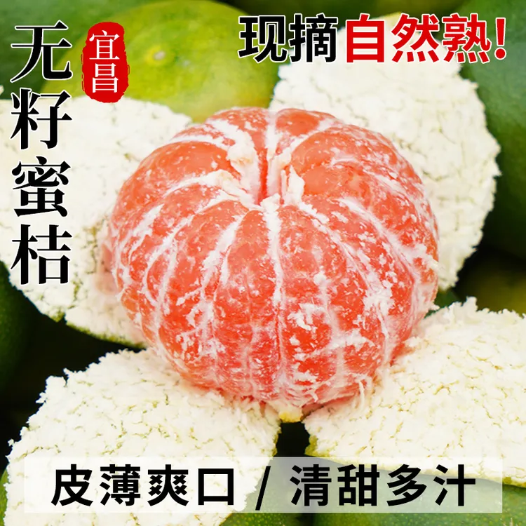 【5斤亏本冲量】宜昌无籽蜜橘青皮桔子酸甜应当季新鲜水果整箱包邮