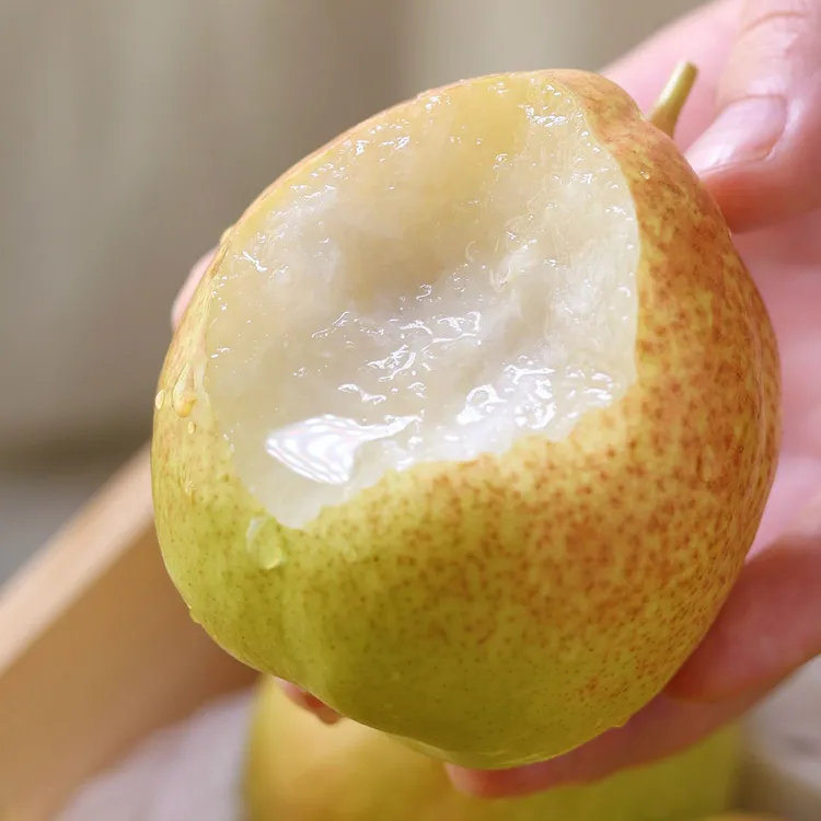 新疆库尔勒香梨新鲜水果梨子多汁整箱4-5.6斤当季梨水果顺丰