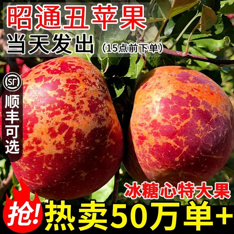 云南昭通冰糖心丑苹果现摘现发新鲜脆甜水果