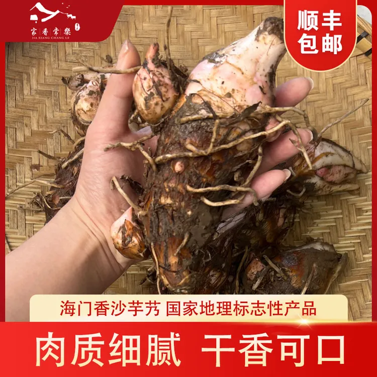 海门本地新鲜香沙芋艿农家自种干香糯