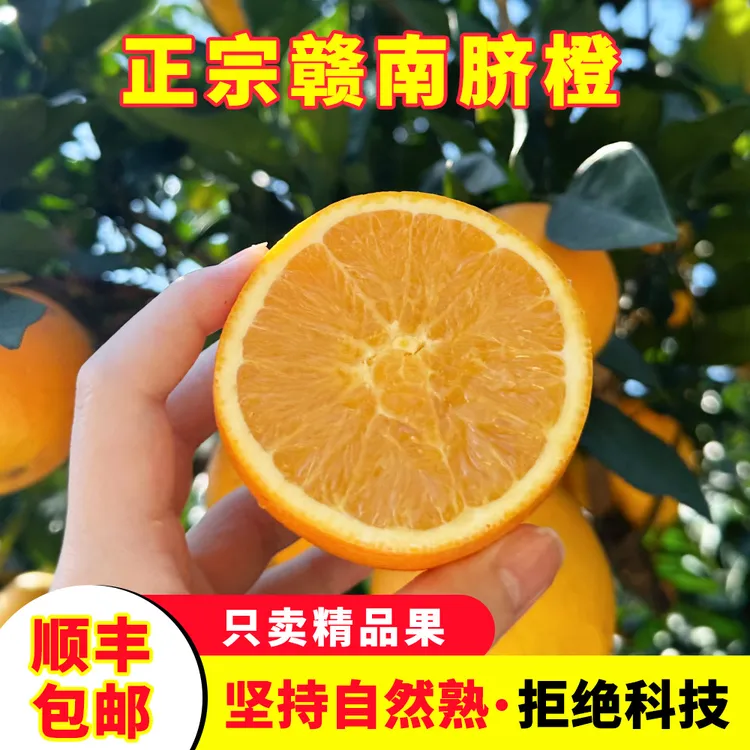 【顺丰包邮】正宗江西赣南脐橙精选当季新鲜水果皮薄香甜橙子