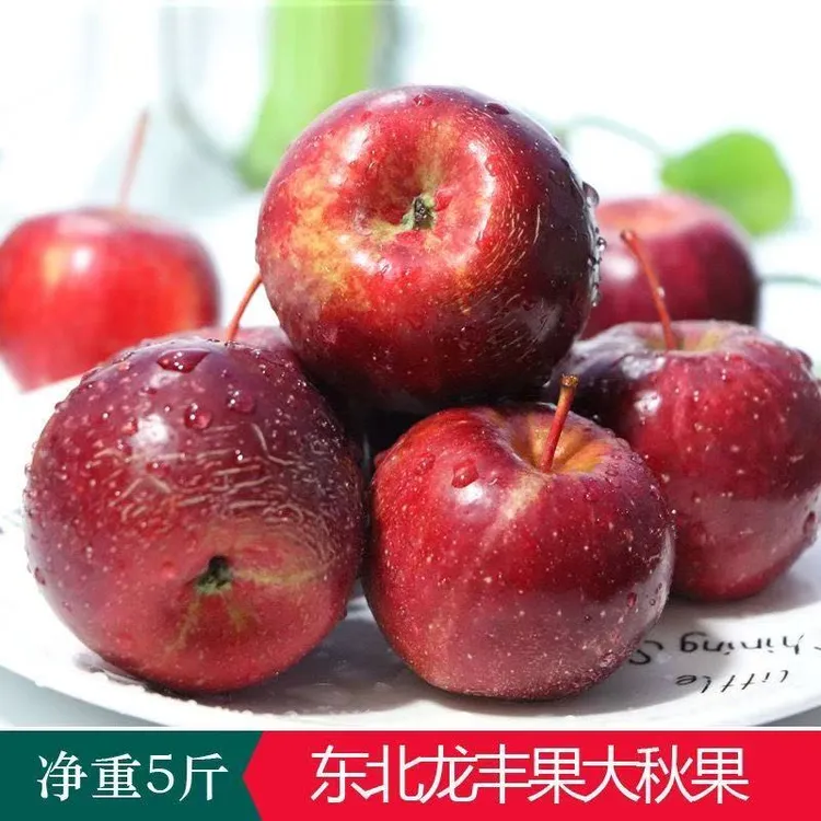 东北大秋果龙丰果大小混合酸甜脆新鲜水果