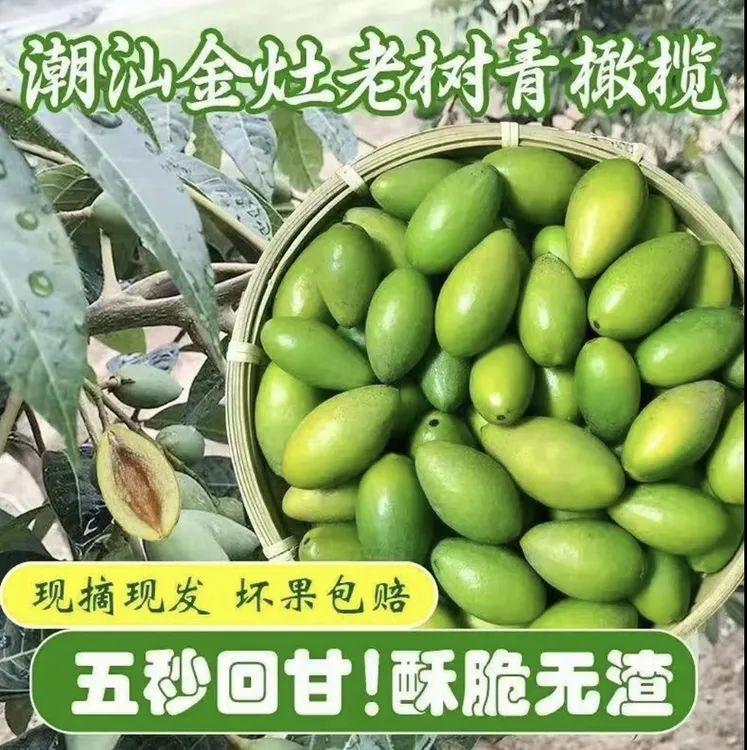 潮汕金灶青枣脆橄榄酥脆无渣原味豆仁翠香橄榄500克酥甘香