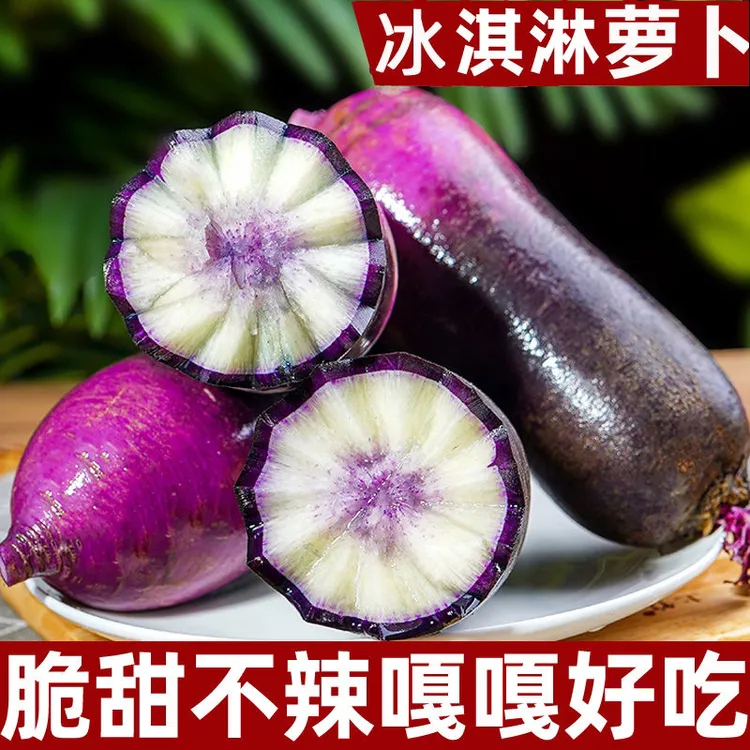 【脆甜爽口】冰激凌甜脆水果萝卜水果型新鲜生吃冰淇淋紫美人产地