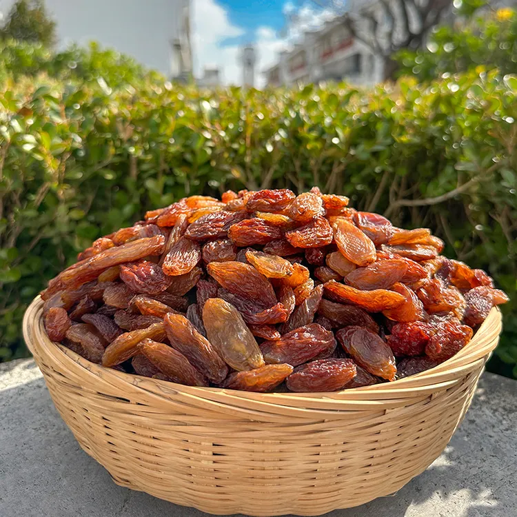 【马三多】 红香妃葡萄干大颗粒正宗新疆吐鲁番葡萄干250克/包