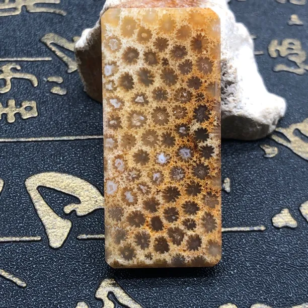 晶洞共生珊瑚玉打灯绝绝子灯美人骨骼小雏菊手工牌