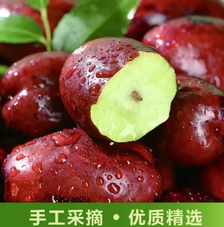 宁夏灵武长枣新鲜应季现摘脆甜多汁皮薄肉厚水果