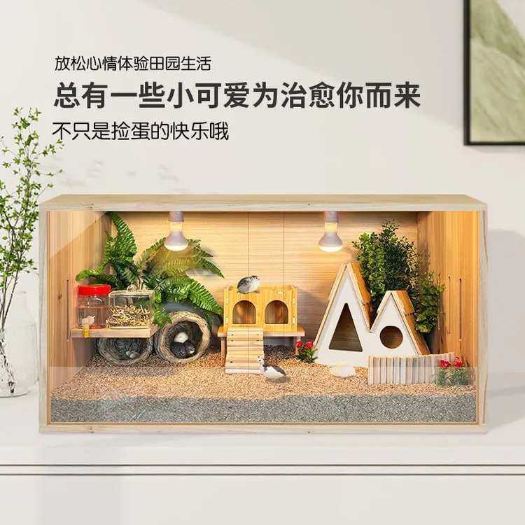 芦丁鸡饲养箱小鸡笼子卢丁鸡养箱造景幼鸡的芦丁鸡饲养箱全套