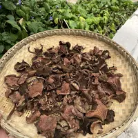 农家松树蘑菇干自然晾干