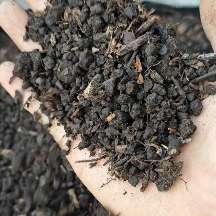 贵州岩窝黑山土营养土颗粒和渣渣混合天然兰花专用兰花土专用土