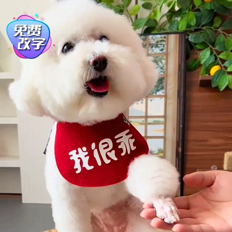 丑宝专属自定义改字宠物围嘴泰迪三角巾博美防水围嘴大狗萨摩围兜