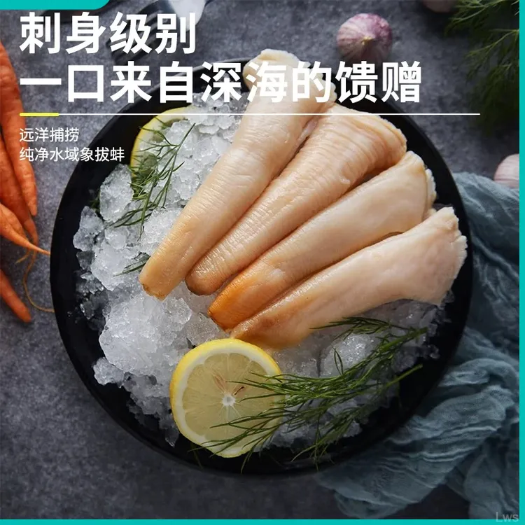 深海象拔蚌 鲜活切片新鲜速冻