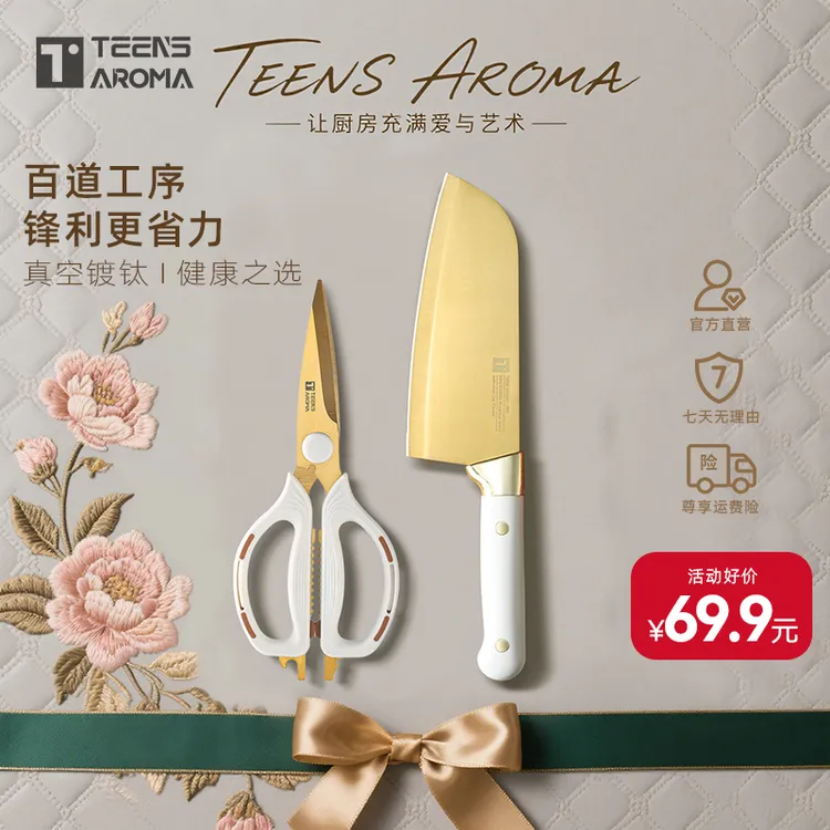 特恩斯镀钛爆款菜刀高颜值厨房切片刀精致刀具切菜超快锋利家用