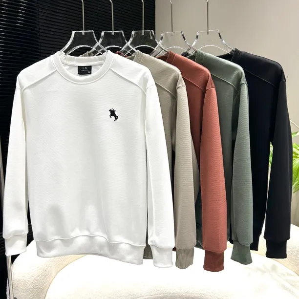 2025时尚刺绣简约插肩袖潮流百搭气质男士卫衣7908