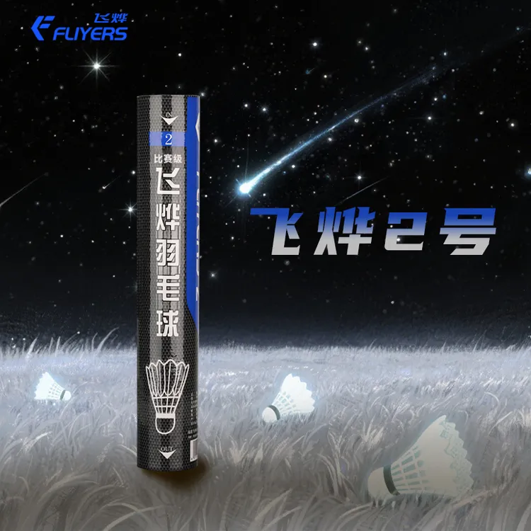 飞烨2号羽毛球鹚鸪鸭毛飞行稳定耐打突出落点精准比赛用球12只