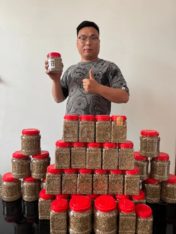 博伟斗鸡打料！提性增旺！增强爆发！提高耐力！收身壮力！