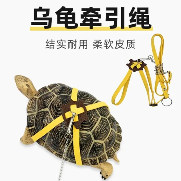 乌龟绳溜陆龟牵引绳乌龟绳宠物牵引背带可调节外出系套绑乌龟用品