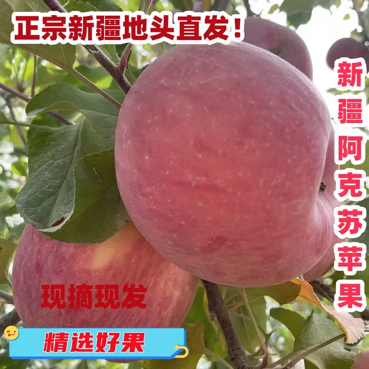 新疆阿克苏冰糖心苹果当季新鲜脆甜多汁水果京东直发送货到家