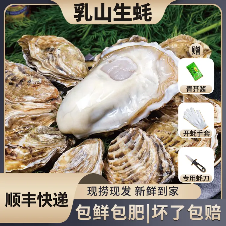 乳山生蚝正宗原产地直发精品生蚝牡蛎新鲜海蛎子8斤顺丰鲜生蚝