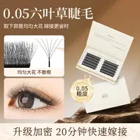 六叶草睫毛嫁接浓密柔软C翘美睫师种植新款6D假睫毛美睫店专用