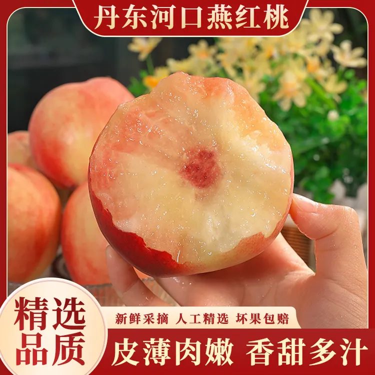 丹东河口燕红桃辽宁丹东水蜜桃时令水果新鲜采摘香甜可口4.5斤起