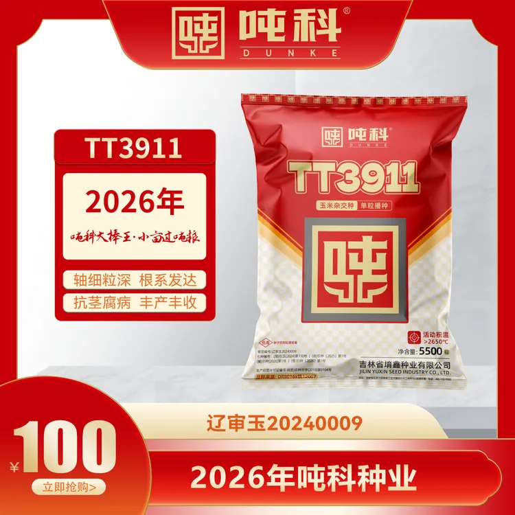 吨科3911玉米种子全款预售