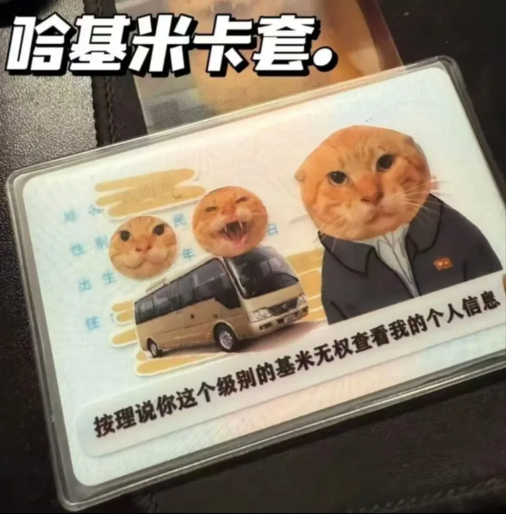 新款哈基米圆头耄耋搞笑卡套身份证保护套搞怪收纳袋透明哈基米