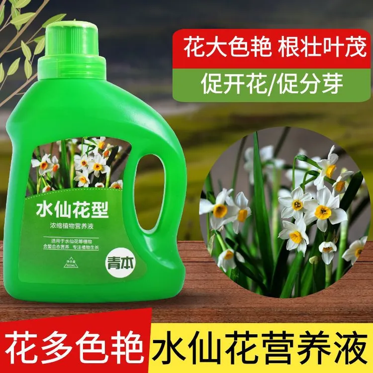 水培水仙花营养液开花水培专用植物肥料