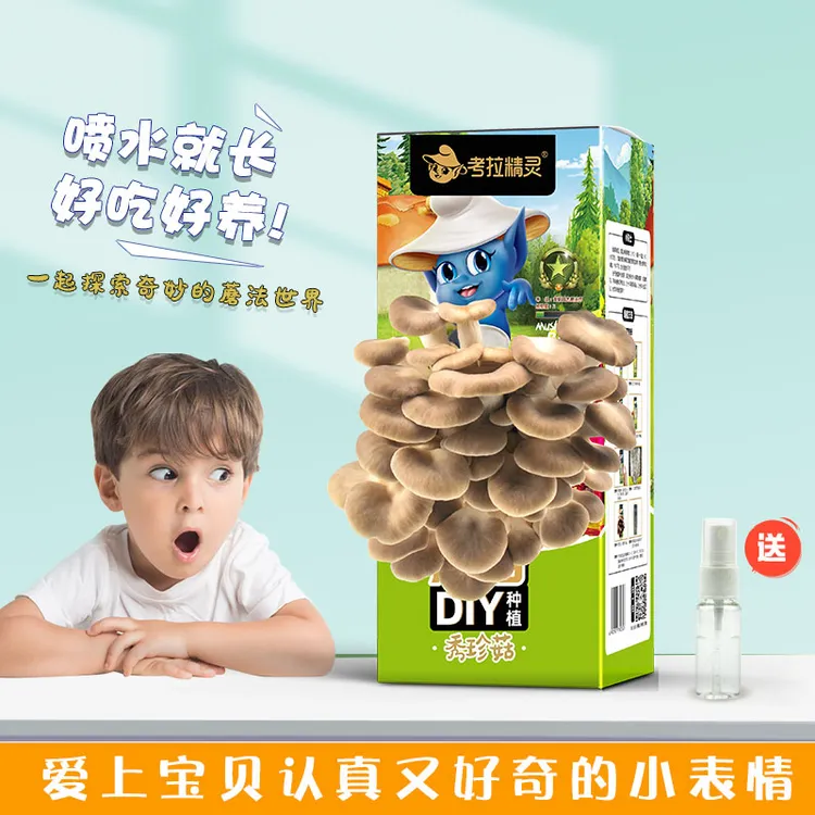 考拉精灵蘑菇种植包可食用diy菌包盒子新鲜蘑菇种植包儿童种蘑菇