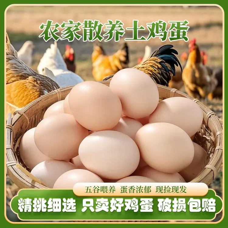 【只发好蛋】50枚新鲜笨鸡蛋农家五谷喂养真土鸡蛋现捡现发破损包赔