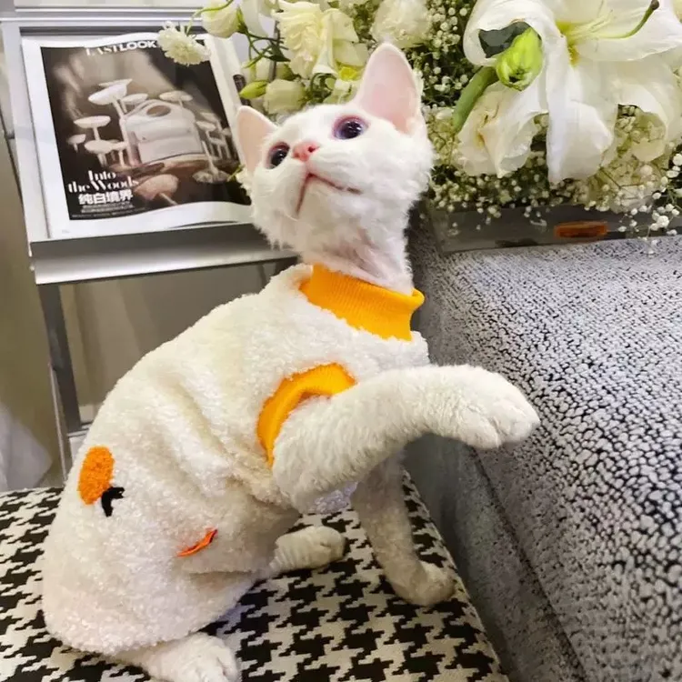 奶油家无毛猫冬季保暖背心德文猫冬季加绒厚衣服德文猫衣服秋冬款