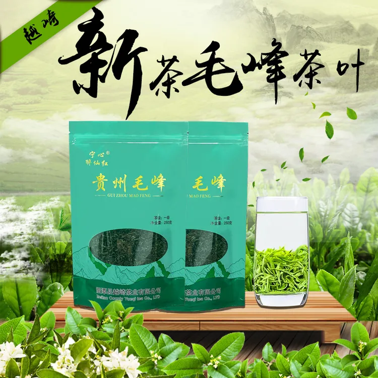2025新茶贵州毛峰高山云雾绿茶雨前采摘春茶浓香型板栗香口粮茶叶