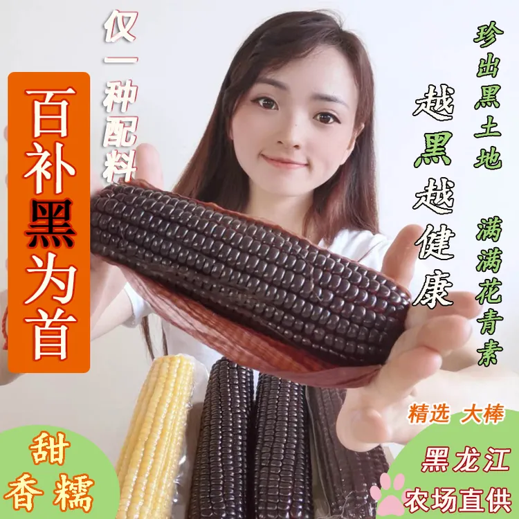 新25年头茬源头】东北黑糯玉米黑甜糯新鲜代餐紫玉米真空非转基因