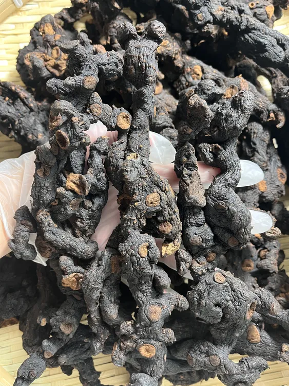 10年以上九蒸九晒野生整块下山货